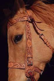 الخيل والليل والبيداء تعرفني والسيف والرمح والقرطاس و القلم selas de cavalo cabrestos de cavalo cavalos bonitos