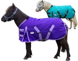Derby Originals Extreme Elements 1200d Ripstop Waterproof Winter Heavyweight Mini Horse Pony Turnout Blanket With 300g Insulation And Two Year