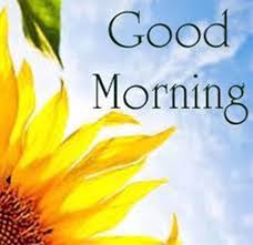 9'm sending you fbi$ rose to brighten upyour day. 140 Good Morning Quotes That Will Brighten Your Day