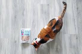 In the united states and, for cats, bonito flakes are healthy and cats absolutely love the taste! Nama Dried Bonito Flakes Dried Tuna Flakes Moe Cat Club