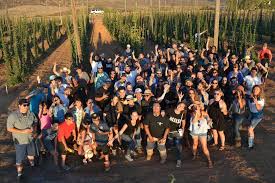 Tijuana multiespacio es un lugar para compartir y disfrutar de la más exquisita comida mexicana en un grato ambiente junto a tu. Lupulos Organicos Crecen En La Ruta Del Vino De Baja California Periodismo