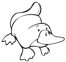 Image Result For Platypus Drawing Outline Animal Templates Easy Cartoon Drawings Animal Drawings Download 865 platypus cartoon stock illustrations, vectors & clipart for free or amazingly low rates! platypus drawing outline