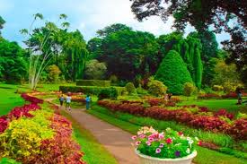 White Paradise - Royal Botanical Gardens - Peradeniya (05min drive)