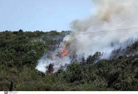 Πρόκειται για τα χωριά κρίνη, γέρμα, καρέας, κρυονέρι, βαθύ καμάρας. Fwtia Sthn Anatolikh Manh Ekkenwnetai O Oikismos Libadia
