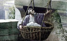 Image result for images paul damascus basket