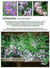 Pin On Garden Blogs