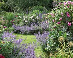 Inzwischen kaufe ich die meisten gartenpflanzen in der gärtnerei. Rosengarten Gestalten Und Anlegen Mein Schoner Garten