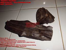 Kayu kemuning (nama tak confirm), men's. Jual Beli Kayu Kemuning Hitam Murraya Paniculata Makrifatbusiness Kampung Wisata Craft Jember