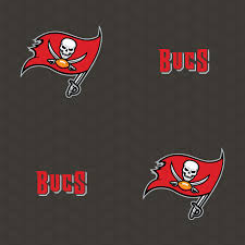 418.60 kb uploaded by dianadubina. Tampa Bay Buccaneers Cartoon 3000x3000 Download Hd Wallpaper Wallpapertip