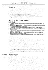 principal software engineer / developer