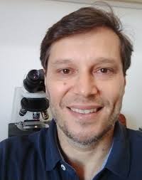 Professor » Marcelo Antonio Pascoal Xavier » Faculdade de Medicina »  Departamento de Anatomia Patológica e Medicina Legal » Somos UFMG