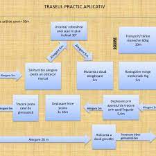 Pregatire intensiva examen admitere academia de politie pagina noastra de facebook: Traseu Practic Aplicativ Pentru Admiterea La È™colile De PoliÈ›ie