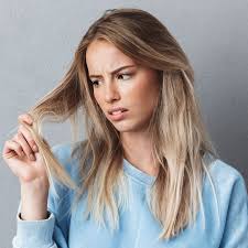 Articles by Laura Sievert