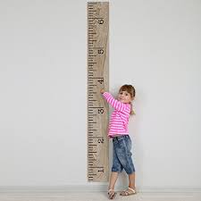 Vinyl Growth Chart Single Transfer For Easy Application Kids