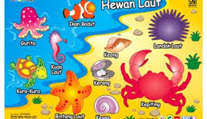 Ketika sedang melakukan tarian terdapat beberapa jenis pola lantai yang menjadi tolak ukur atau patokan. Puzzle Binatang Laut Mengenal Hewan Laut Dengan Puzzle Kayu Seru