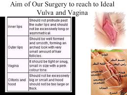 The outer lips are called labia majora and the inner lips are called the labia minora. Plastic Surgery Of Vulva And Vagina Ppt Video Online Download