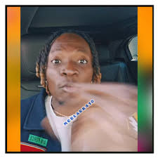 Les supporteurs des Forces Armées d'Haïti