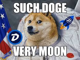 Dogecoin and elon musk right now. A 42 Billion Joke