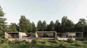 Silvestre (sylvester) es uno de los principales looney tunes, siempre aparece persiguendo a piolín, speedy gonzáles o hippety hopper. Fran Silvestre Arquitectos Designs Can Ras House On Mallorca Island