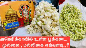 Maybe you would like to learn more about one of these? Indian Flower Shop In Usa Delivering Fresh Flowers From Chennai To Usa Vivek Flowers Youtube