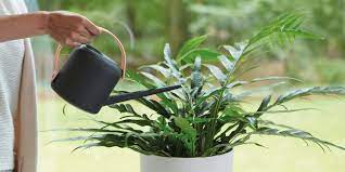 We did not find results for: Comment Arroser Ses Plantes D Interieur Marie Claire