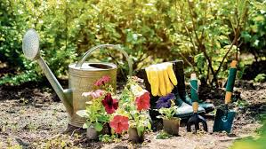 Flora Und Fauna Ein Bunter Garten Fur Nutzlinge Non At