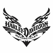 Image result for harley davidson wing