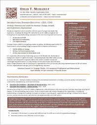 Cv Template Zimbabwe Business Resume Good Resume Examples Business Resume Template