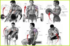 Bulk Up Your Biceps With Our 100 Bicep Curl Challenge Free