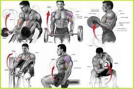 bulk up your biceps with our 100 bicep curl challenge free