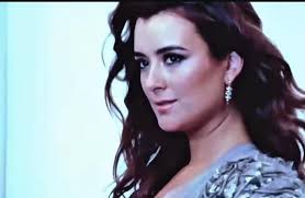 Cote De Pablo Birthday Thanks