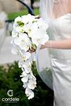 Bridal Flower Boutique