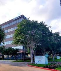 Robideau Mike CPA-Robideau and Company, 110 Guenther St, Sugar Land, TX  77478, US