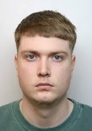 A violent man who attacked two of his ex-partners has been given a  seven-year custodial sentence. Arron Moss, of Prince Charles Crescent in  Telford, was sentenced at Shrewsbury Crown Court yesterday (Thursday