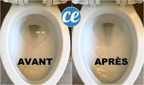 l astuce simple et rapide pour blanchir le fond de la cuvette sans effort detartrer toilette nettoyer toilettes produit de nettoyage faits maison