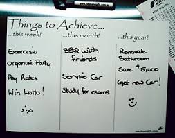 details about a4 goal chart fridge magnet whiteboard weekly monthly yearly student planner 2p