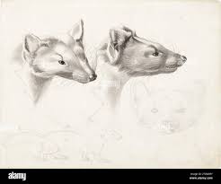 Wilhelm martens hi-res stock photography and images