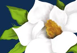 We have all the varieties and sizes at an unbeatable price. Majestic Magnolia Hkoriginals Digital Art Flowers Plants Trees Flowers Flowers I Z Magnolias Artpal