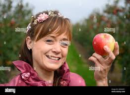 Queen apple fruits hi-res stock photography and images