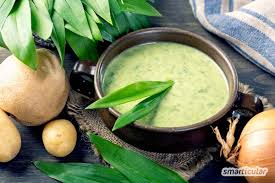 Barlauch Sammeln Zubereiten Und Konservieren Die Besten Tipps Und Rezepte Barlauchsuppe Rezept Rezepte Barlauch