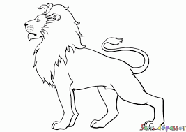 Afficher L Image D Origine Dessin Lion Croquis Animaux Dessin Lion Facile