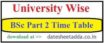 University registrar (evaluation) p l dharma said that there will be no examination for undergraduate students from wednesday. Bsc 2nd Year Time Table 2021 Available B Sc Part 2 Exam Schedule