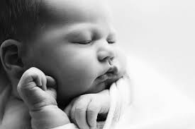 Tamara Hardy Photography