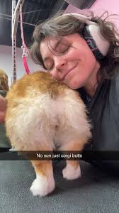 Pet grooming services with festive color options available