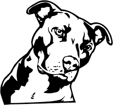 Download Pitbull Mama Svg Shefalitayal