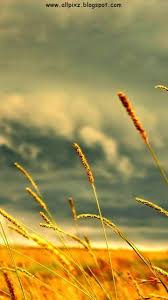 Use them as wallpapers for your mobile or desktop screens. Photographyblog Wallpapers Hd Images Hd Wallpapers Photos Free Download Hd Wallpaper For 40 Phone Wallpaper