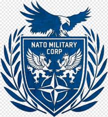We bet you've always wondered but were afraid to ask: Nato Logo Nato Flag Png Download 362x390 6414550 Png Image Pngjoy