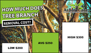 Certainly the cost factor, be it tree relocating, transplanting, tree cutting, trimming care, disease injections, tree stump removal and/or pruning can easily add up. Tree Removal Cost 2020 Average Prices Near Me