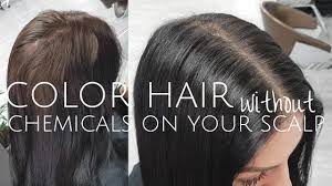 Hair dyes do not necessarily damage the scalp or exacerbate symptoms. How To Color Hair Without Chemicals On Scalp Youtube