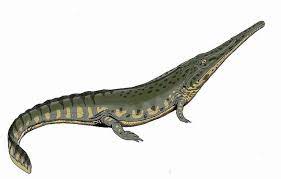 Art Illustration Amphibian Aphaneramma Is An Extinct Genus Of Temnospondyl Who Lived In Prehistoric Animals Dinosaurs Prehistoric Animals Ancient Animals
